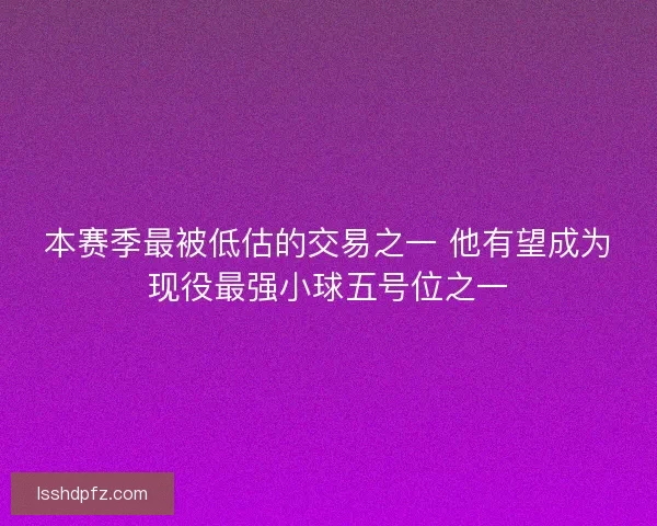 本赛季最被低估的交易之一 他有望成为现役最强小球五号位之一