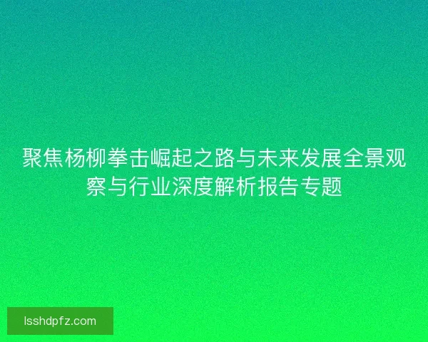 聚焦杨柳拳击崛起之路与未来发展全景观察与行业深度解析报告专题 聚焦杨柳拳击崛起之路与未来发展全景观察与行业深度解析报告专题