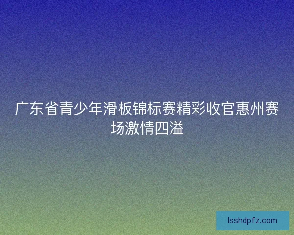 广东省青少年滑板锦标赛精彩收官惠州赛场激情四溢